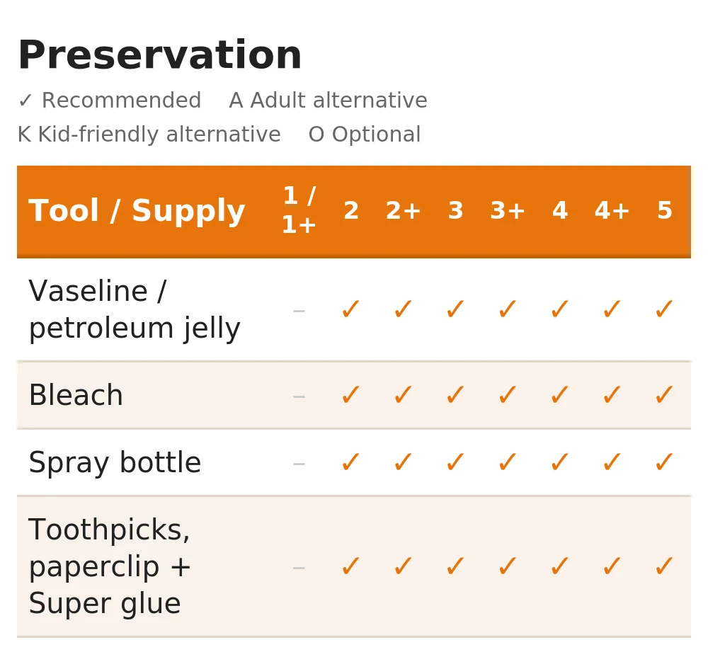 Preservation supplies table — Vaseline, bleach, spray bottle, toothpicks and super glue