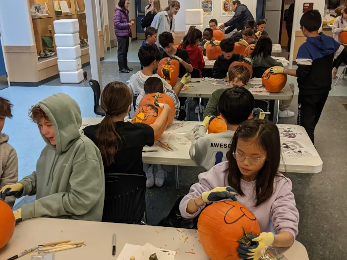 Students carving pumpkins in a classroom workshop