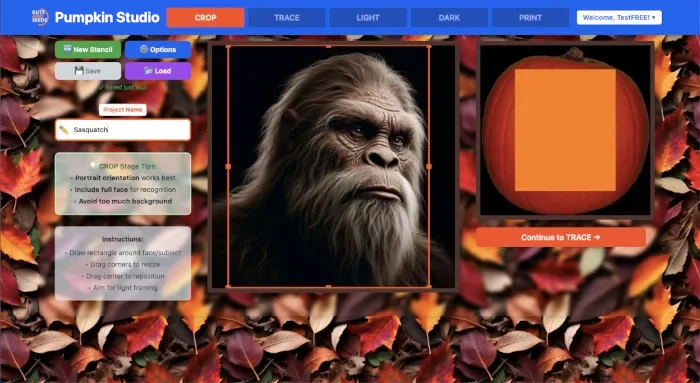 Pumpkin Studio Crop stage — upload and crop your photo