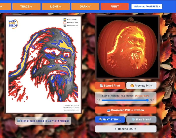Pumpkin Studio Print stage — your completed stencil ready to print
