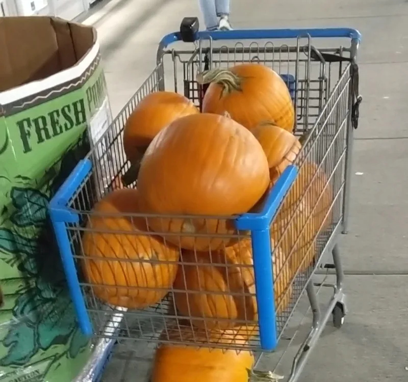 23B